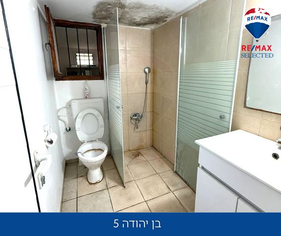 דירה, בן יהודה, מסדה, חיפה