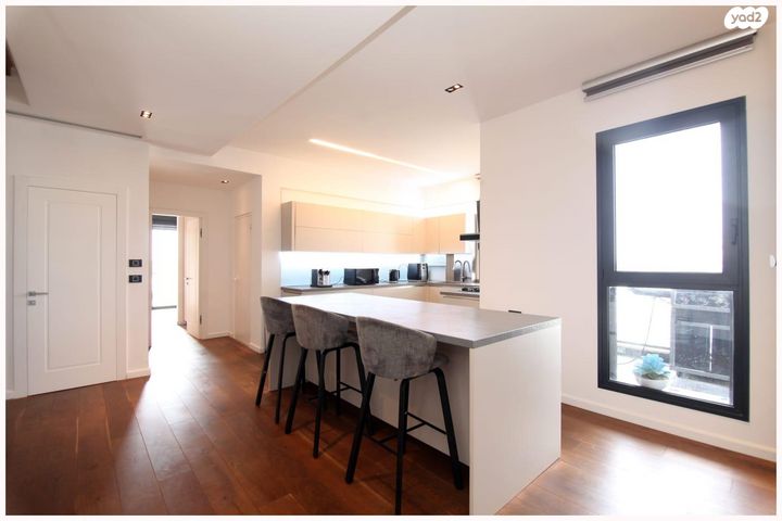 גג/ פנטהאוז, סשה ארגוב, נווה זמר, רעננה