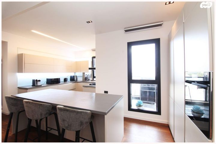 גג/ פנטהאוז, סשה ארגוב, נווה זמר, רעננה