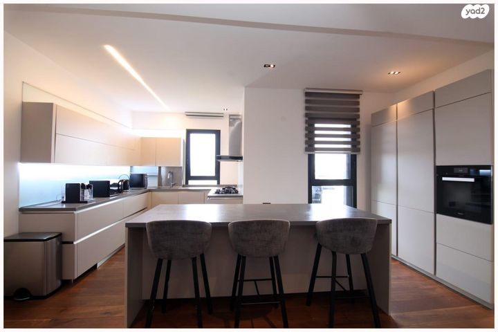 גג/ פנטהאוז, סשה ארגוב, נווה זמר, רעננה