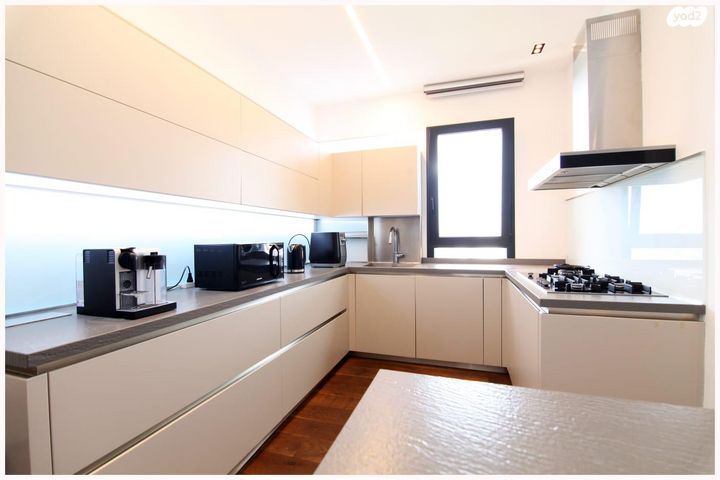 גג/ פנטהאוז, סשה ארגוב, נווה זמר, רעננה