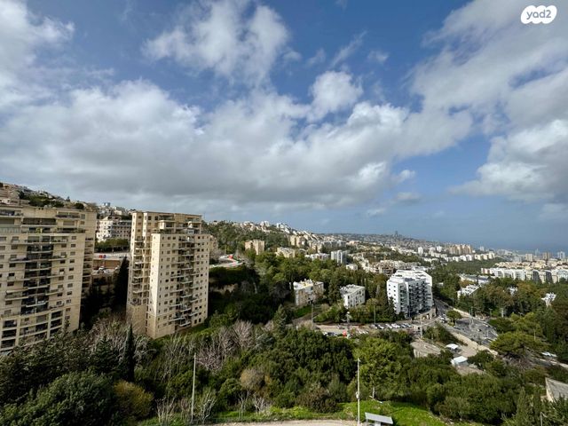 דירה, יגאל אלון, סביוני הכרמל, חיפה