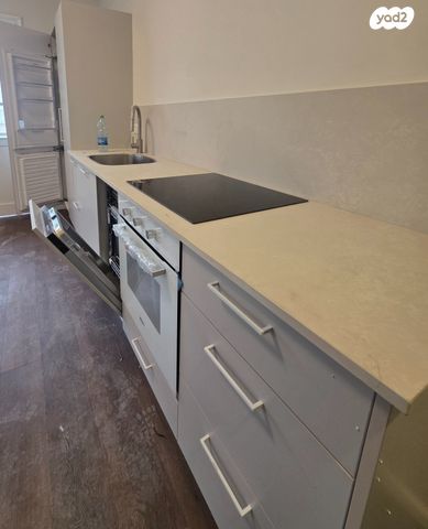 זלמן שניאור 