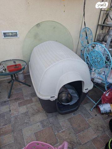 תמונת מודעה - חיות מחמד