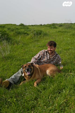 דייהטסו טריוס