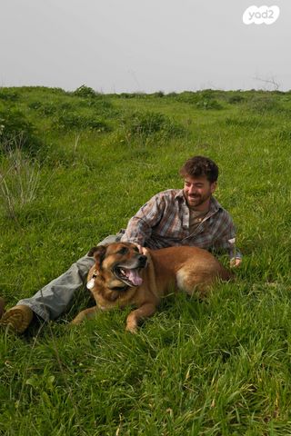 דייהטסו טריוס