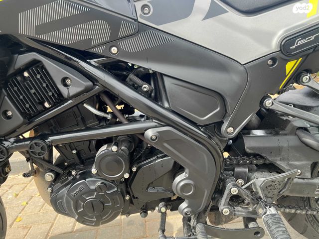 בנלי LEONCINO250