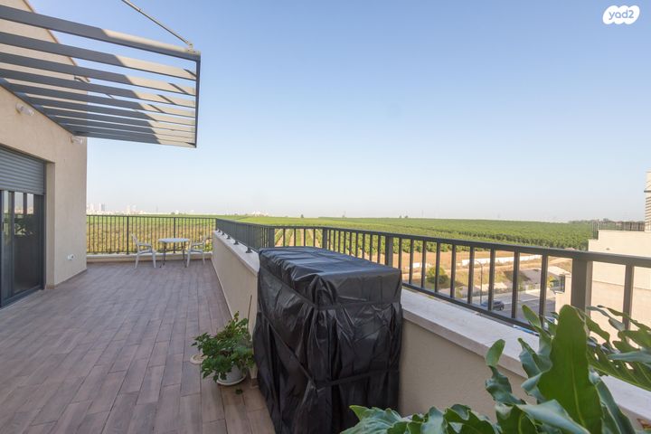 שיר השירים 14