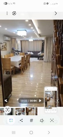 דוד אלעזר 33