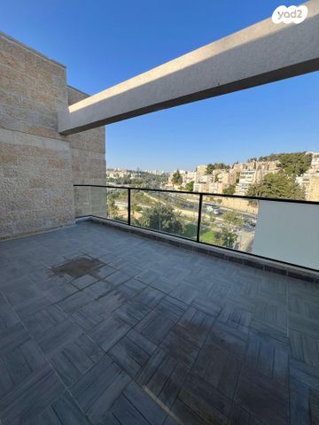 דוד צבי פנקס 3