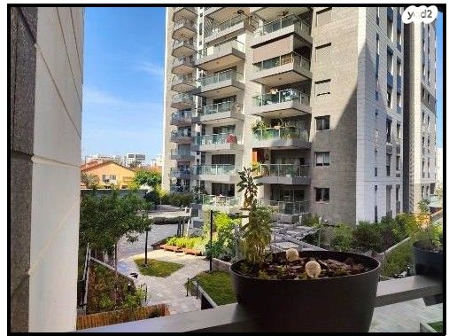 צבי מנדלבלט 5