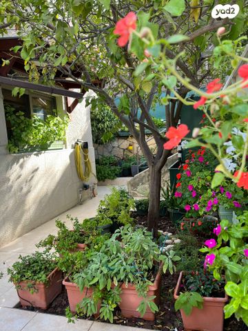 בית פרטי/ קוטג', הנגב 29, רובע ג', אריאל