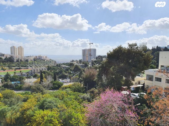 דירה, פינסקר 55, זיו, חיפה