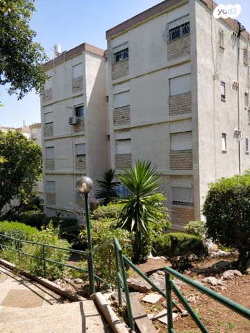 דירה, פינסקר 55, זיו, חיפה