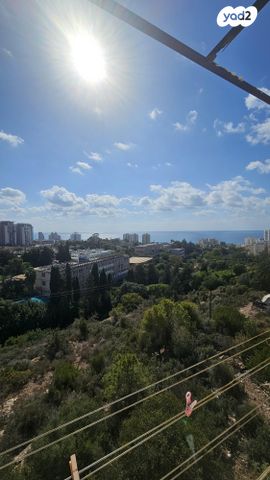 דוד בר רב האי 40