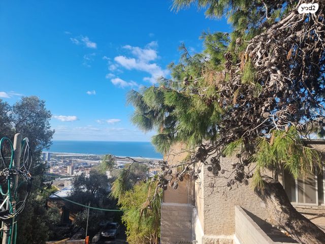 דירה, ויתקין 16, אחוזה, חיפה