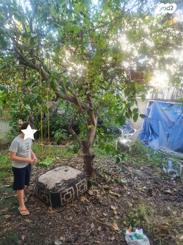 דירת גן, ניר עם 17, ביצרון ורמת ישראל, תל אביב יפו