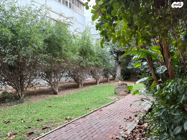 דירה, צייטלין 6, הצפון החדש - דרום, תל אביב יפו