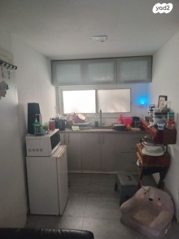 דירת גן, אמץ 11, צפון יפו, המושבה האמריקאית-גרמנית, תל אביב יפו