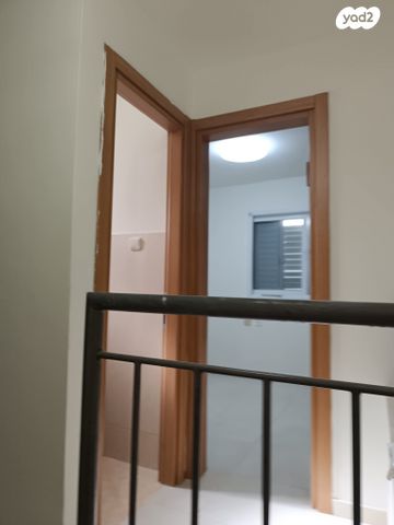 שער האריות 15