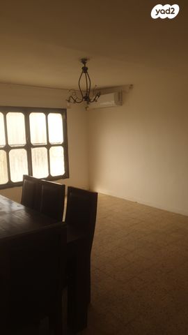 ח.מ. שפירא 43