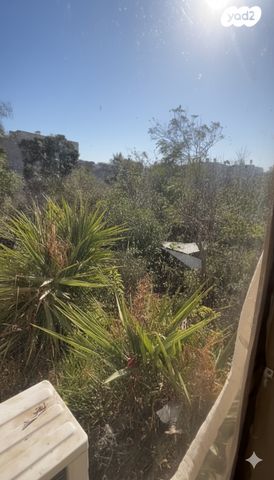 מבוא גולי קניה 3