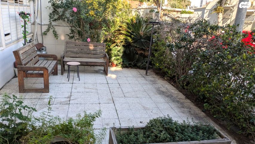 חביבה רייק 3