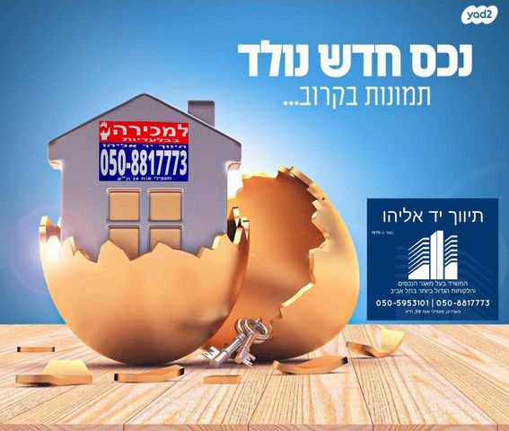 צביה לובטקין 