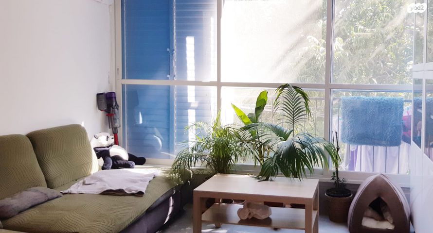 דירה, טבעון הוותיקה, קרית טבעון