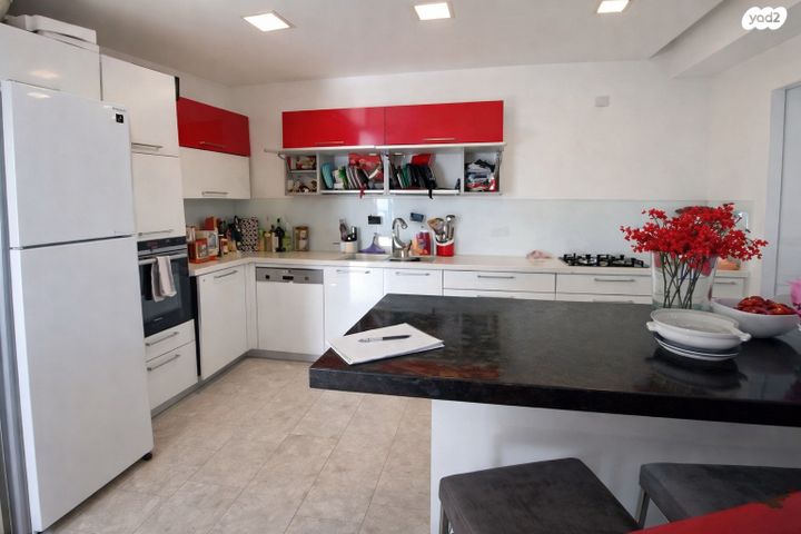 סמטת צבי פיקסלר 8