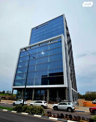 אלי הורוביץ 