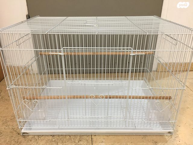 תמונת מודעה - חיות מחמד