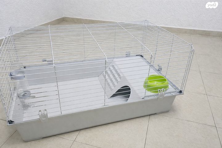 תמונת מודעה - חיות מחמד