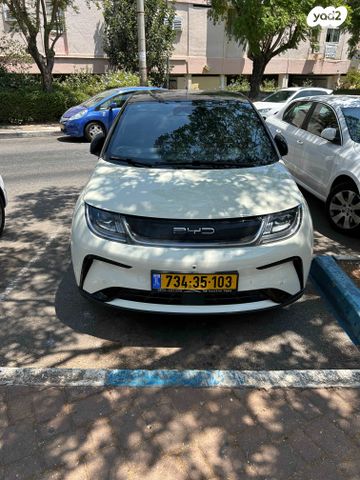 מודעת רכב בי.ווי.די דולפין