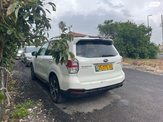 מודעת רכב סובארו פורסטר