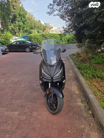 סאן יאנג ג'וי-מקס Z-300