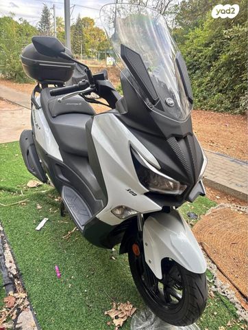 סאן יאנג ג'וי-מקס Z-300