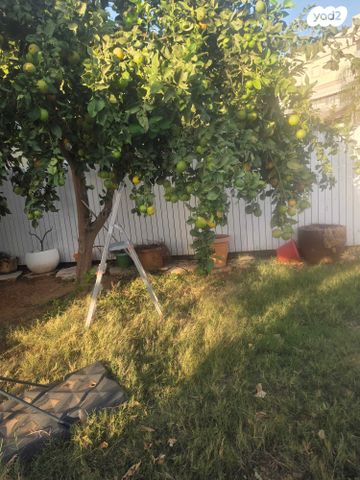 דירת גן, יהודה הלוי 20, היובל, אור עקיבא