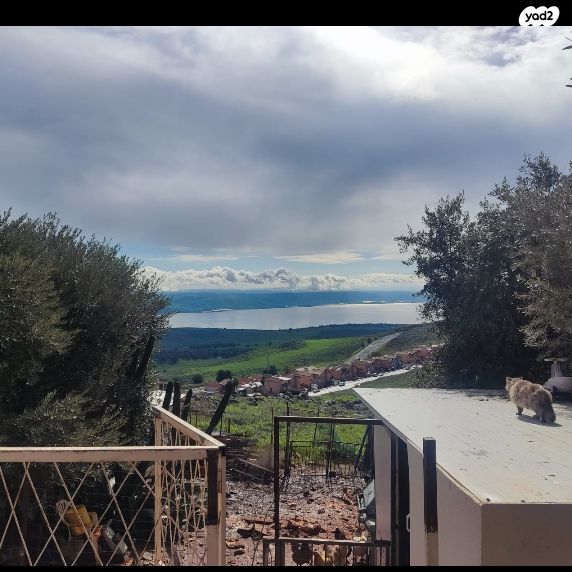 נוף הגולן 18