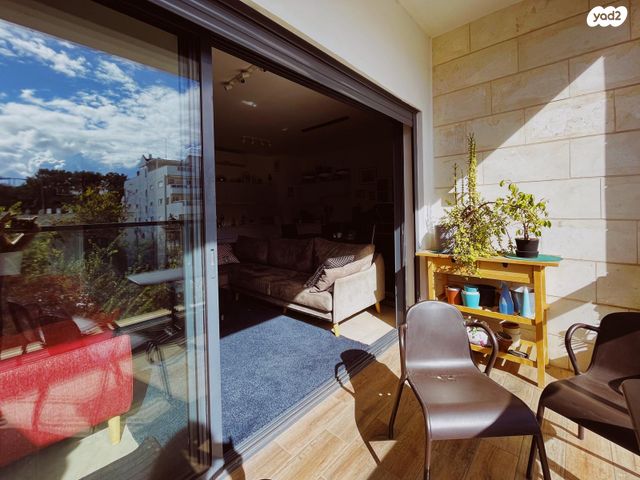 שועלי שמשון 5