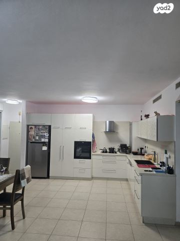 גג/ פנטהאוז, דוגית 13, קרית מנחם בגין, רמלה