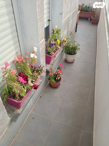 דירה, יצחק אבינו 13, שכונה ד', באר שבע