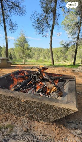 בית פרטי/ קוטג', שני ליבנה, שני ליבנה, שני ליבנה