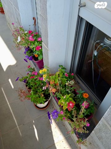 דירה, יצחק אבינו 13, שכונה ד', באר שבע