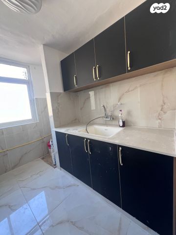 אפרים צור 17