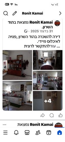 ירושלמי 12