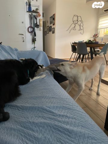 דירה, גולומב 68, ארלוזורוב, גבעתיים