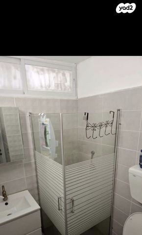 דוד אלעזר 15