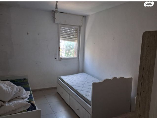 יגאל אלון 29