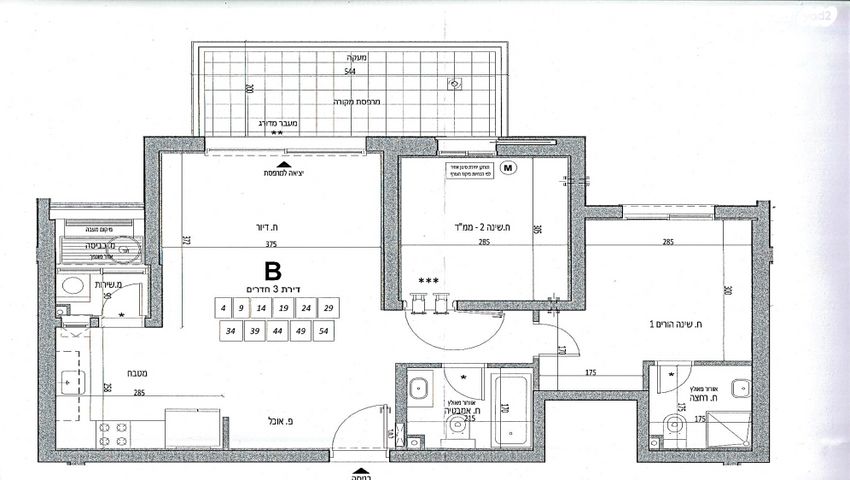 מניה שוחט 10